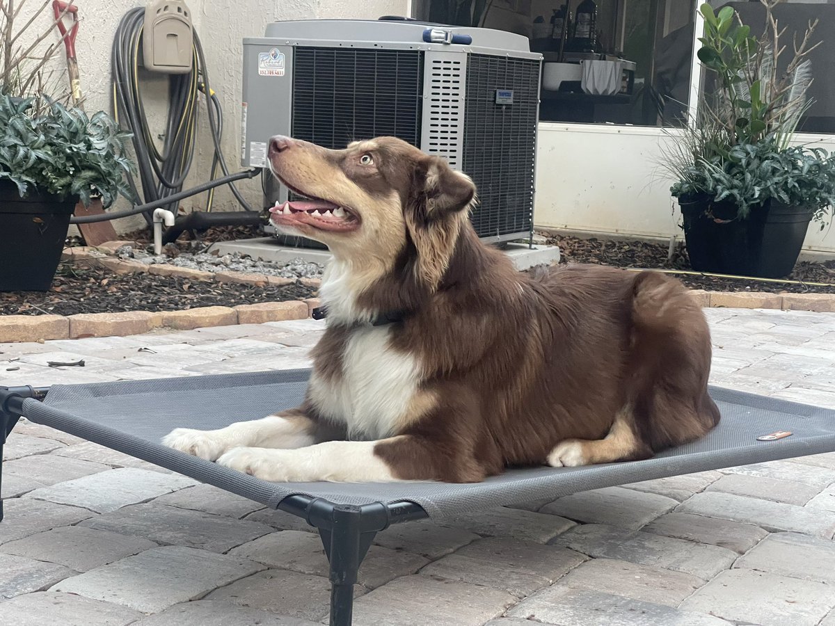 Tommy Amato tweet media