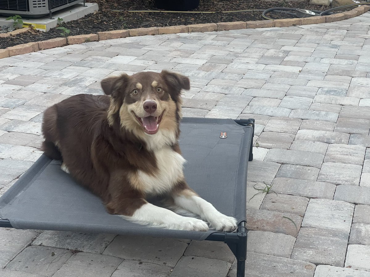 Tommy Amato tweet media