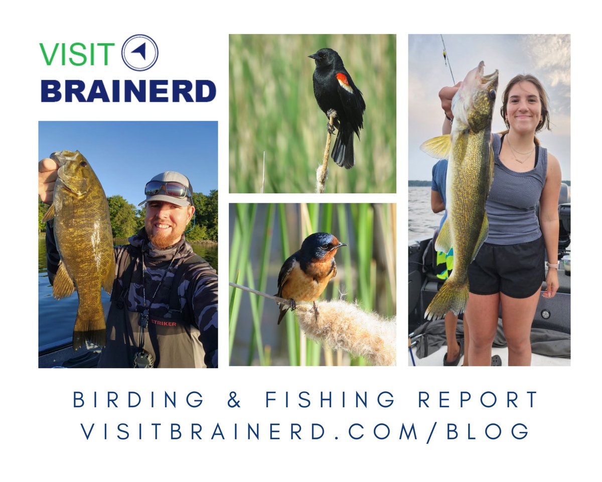 Visit Brainerd tweet media