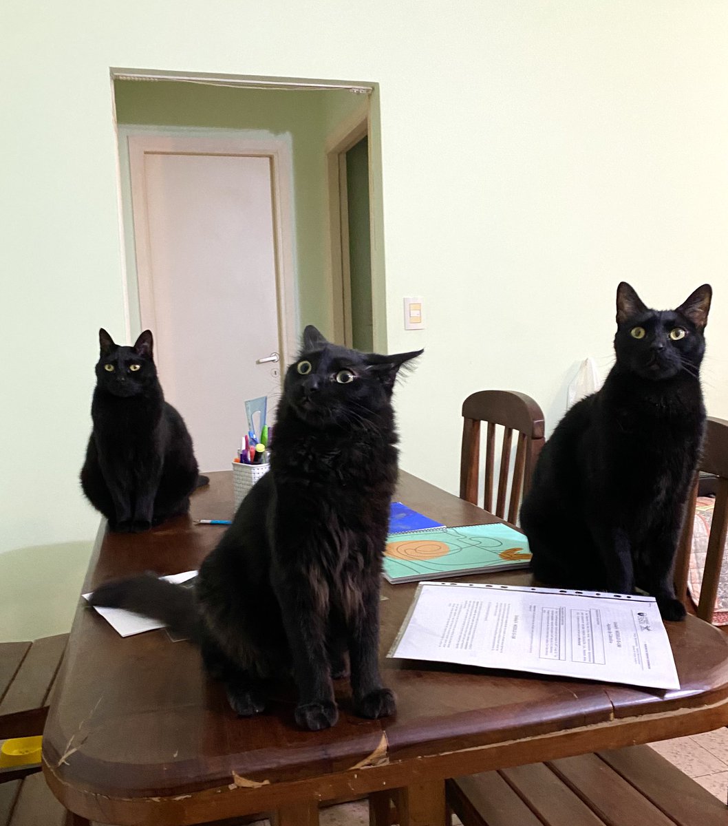 Srita Da ✨ tweet media