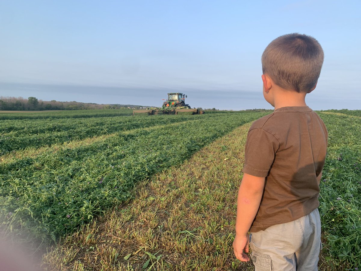 Ross Bender tweet media