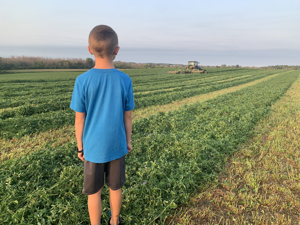 Ross Bender tweet media