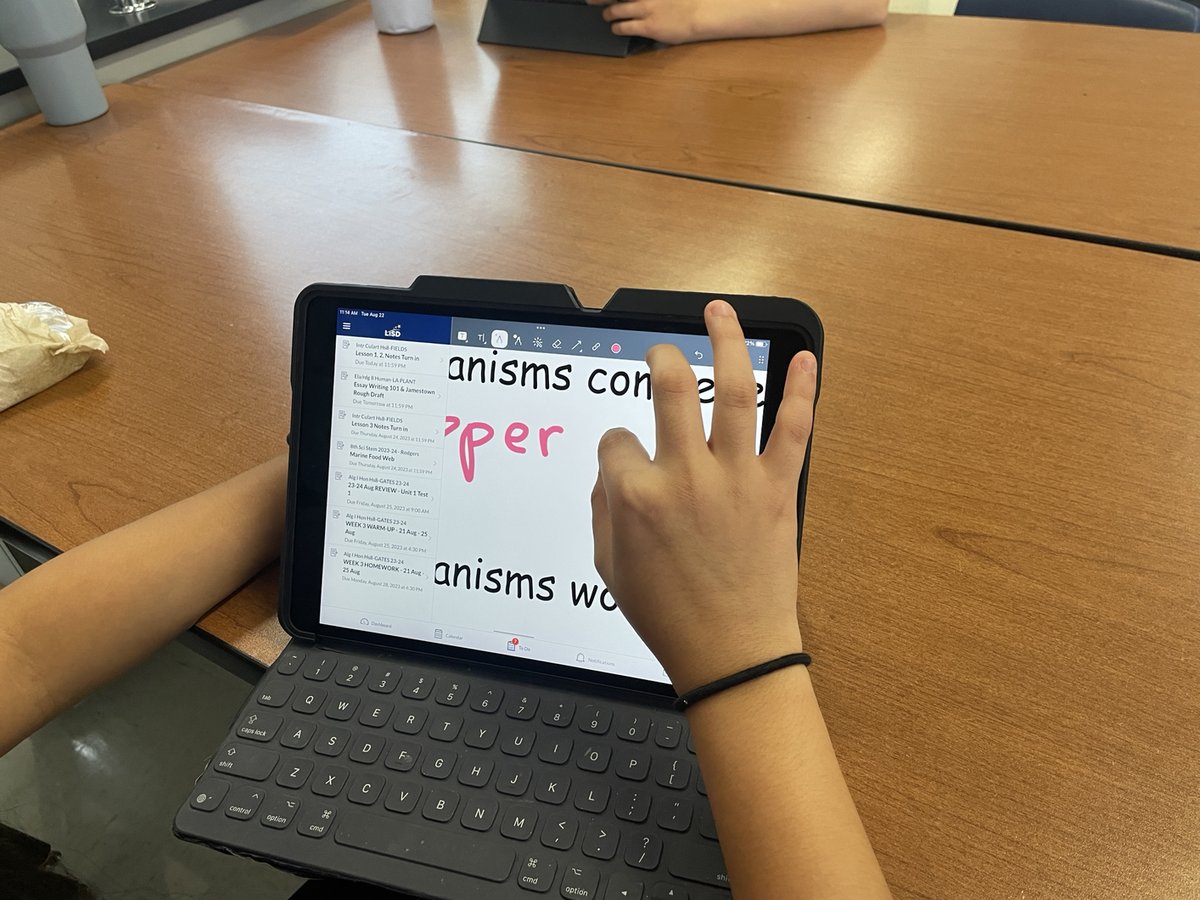 Tammy Snively tweet media