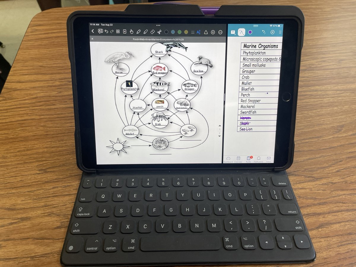 Tammy Snively tweet media