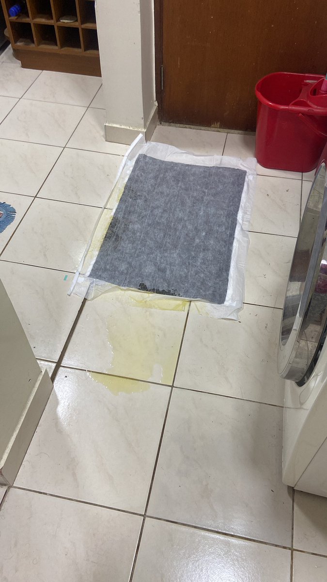 DCitolin's tweet photo. Em que nível teu cachorro te afronta? 😒 https://t.co/mwBwS8nomC