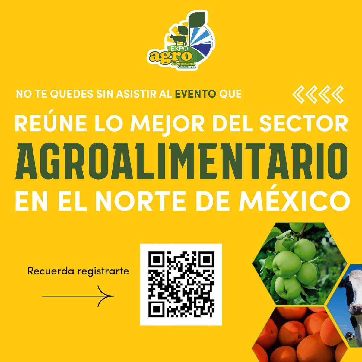 CNAgropecuario's tweet photo. ¡Únete a la experiencia agroalimentaria más grande del norte del país! El #CEACH te invita con entusiasmo a participar a la Expo Agro Internacional Chihuahua
No te pierdas este evento emblemático que reúne a líderes y expertos del sector.
Fecha: 31 de agosto, 1 y 2 de septiembre de 2023
Sede: Expo Chihuahua
Registro: https://t.co/8E34atpXrd