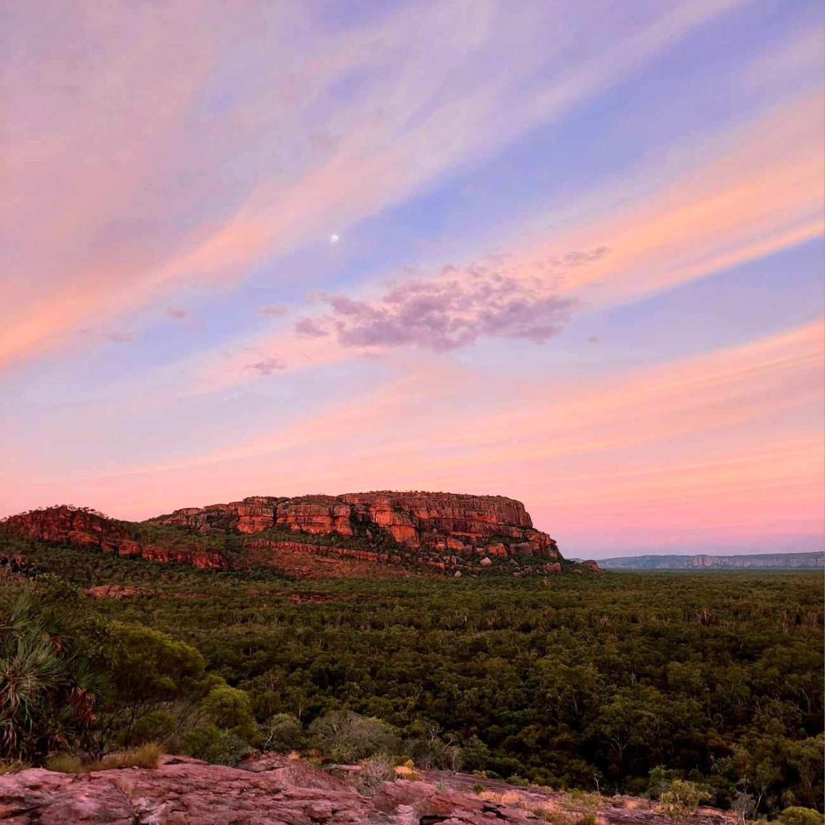 What a way to end the day 😍 There are many great locations to enjoy the sunset at Kakadu National Park. One of our favourites is Nawurlandja Lookout in the Burrungkuy (Nourlangie) region. Which is your favourite sunset location at Kakadu National Park? 📸 Meegan Ebert