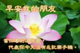 tcs1769's tweet photo. https://t.co/I5tl3XGHdS