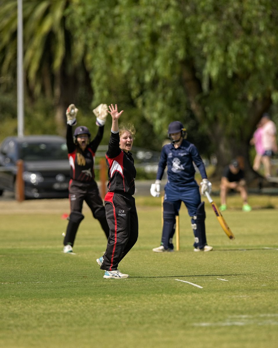 JOIN OUR TEAM!
We are currently on the lookout for a Digital Content Specialist to help provide coverage of the upcoming season.

If you are a creative individual who has the relevant digital skills and a passion for <a href="/vicpremcricket/">Vic Premier Cricket</a>, apply now via cricvi.co/PCDigitalConte…