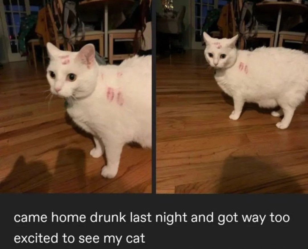 viktorswetpussy's tweet photo. He's actually a real cat I can't believe it #thespot #Jonathanohnn #ATSV  #AcrossTheSpiderVerse https://t.co/n1chBGLEst