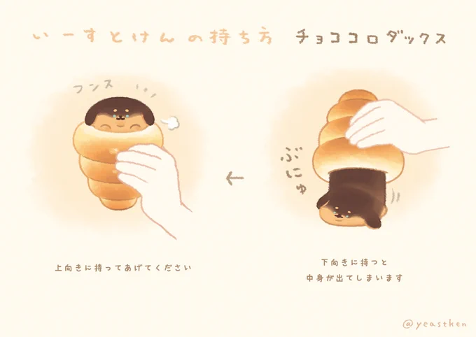 チョココロダックスの持ち方🤲 