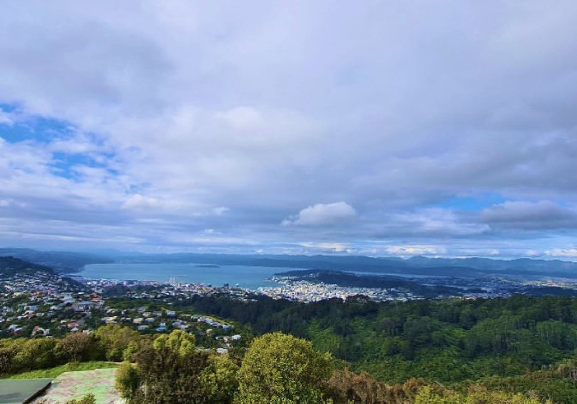 Faran Foley tweet media