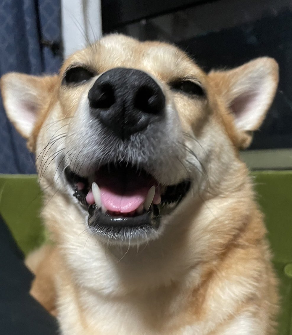 本日と明日は、お休みとなっております。
金曜日は、通常営業です。

どうぞよろしくお願いいたします🙇‍♀️