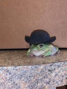 Fit check ✅

$HOPPY #HOPPY