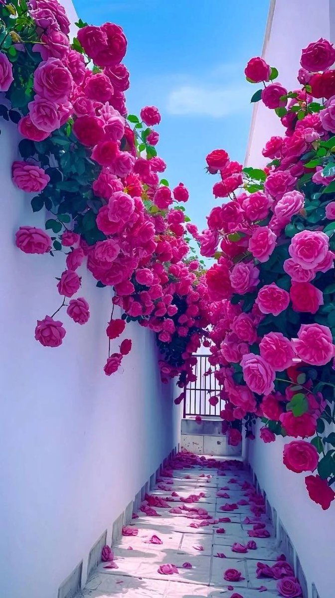gamdah00's tweet photo. سورة يوسف سُميَّت بـ أحسن القصص لأنها السورة الوحيدة التي بدأت بـ حلم وإنتهت بحقيقة .
               لأنها تُعَلِّمُنَا أنَّ :
السجين سيخرج 
 والمريض سـيشفى 
 والغائب سيعود
 والحزين سيفرح
 والكرب سيزول 
 وأن ابتلاء المؤمن كله خير 
فمع الله لا يخيب رجاء ..
فلا تيأس وثق بالله.. https://t.co/j2PkCK43oA