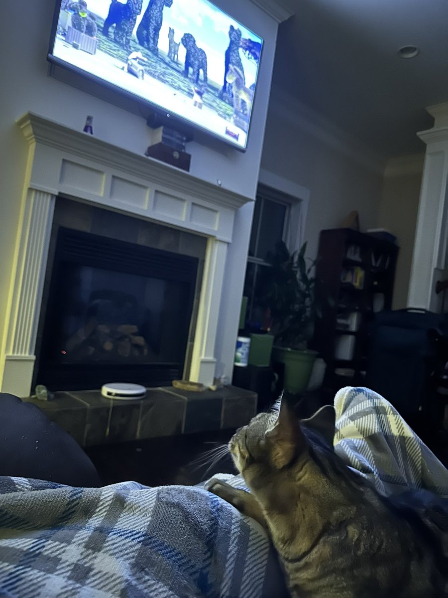 Jefferspet's tweet photo. @AGT ❤️ Hurricane! Even the cats are impressed! https://t.co/UEHdBpoYE3