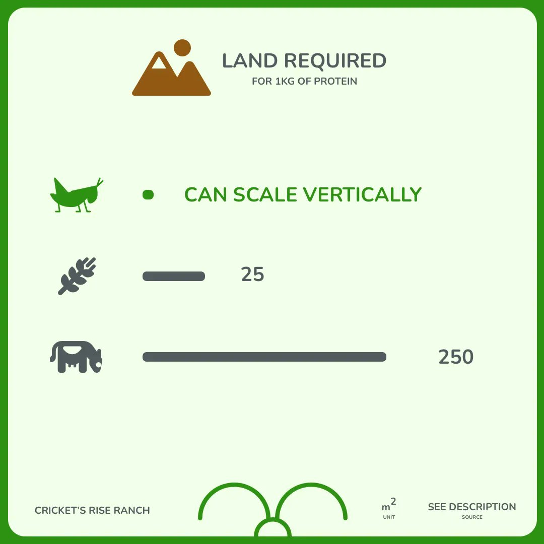 Land Required for 1kg of Protein (Crickets, Soy & Beef)

Sources
🐄 🦗 - buff.ly/45vYDPn 
🌾 - buff.ly/45gSk1S 
buff.ly/3OwrASk 
.
.
.

#CricketFarming #Sustainability #FutureOfFood #ProteinSource #EcoFriendlyDiet #TinyFarmers #InsectProtein
