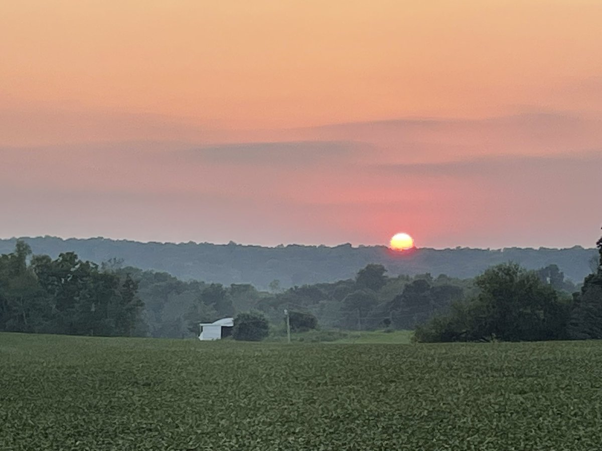 This is the view from my neighborhood’s entrance &amp; I cannot stop taking pictures of it. It’s my nightly routine. I start my walk in time to catch the sun going down while listening to podcasts w/ women my age talking about women’s interests. (I realize the metaphor in all this)