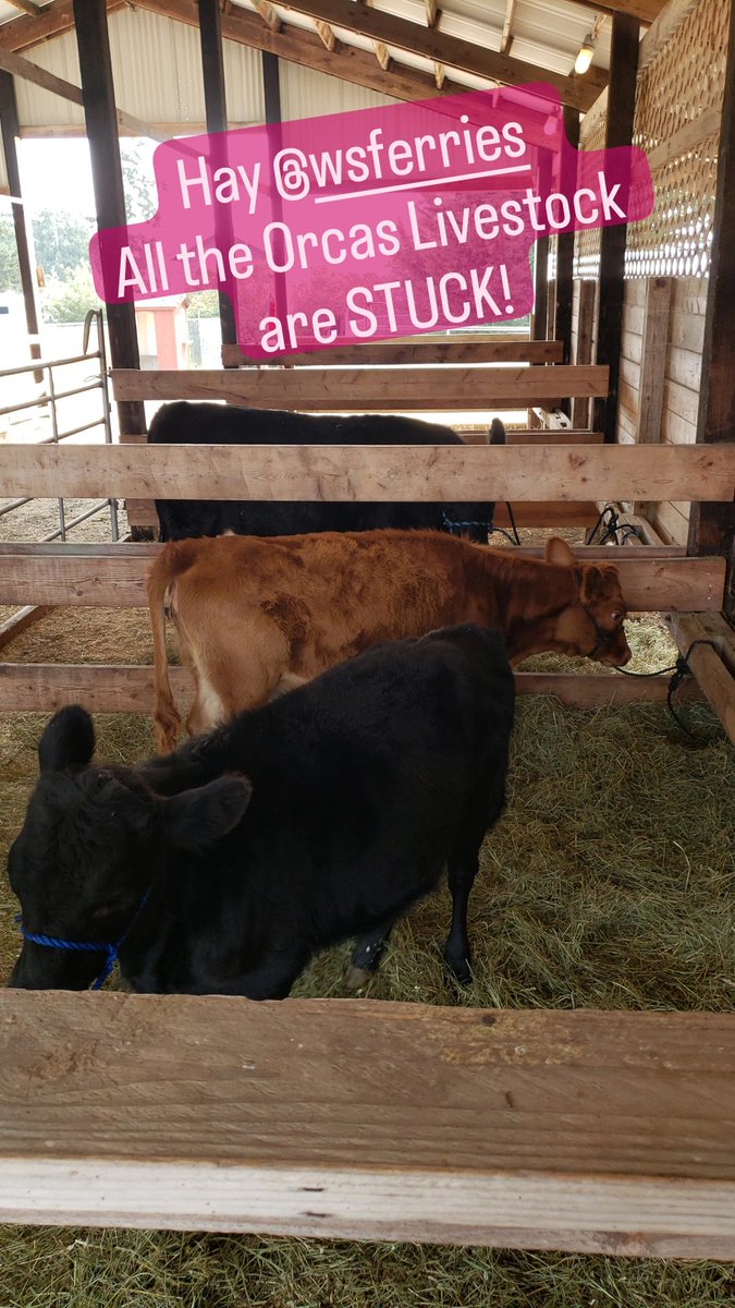 Why <a href="/wsdot/">Washington State DOT</a>