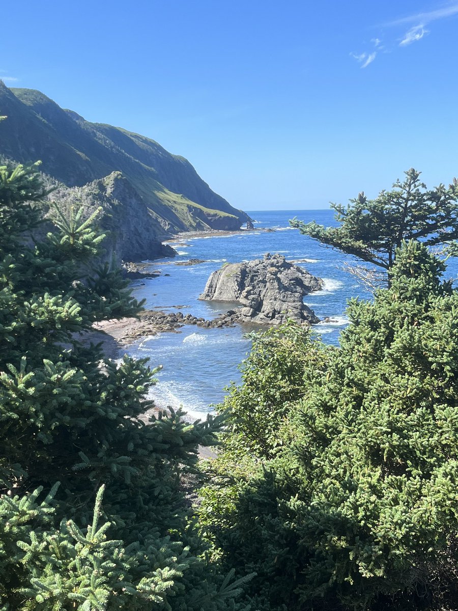 Dee Boyd (She/ Her) tweet media