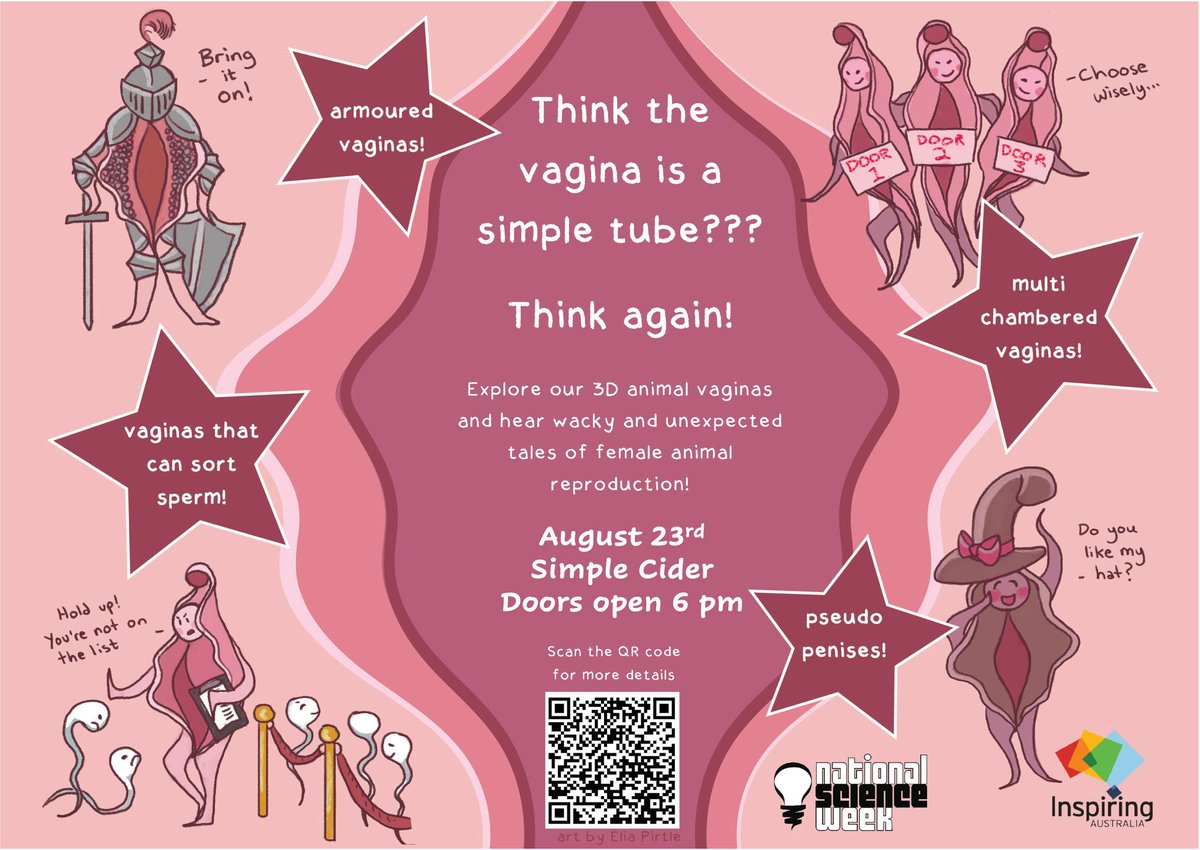 Bridget White tweet media