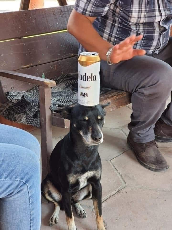 *Suena Polka Paraguaya*

La que estudia Danza: