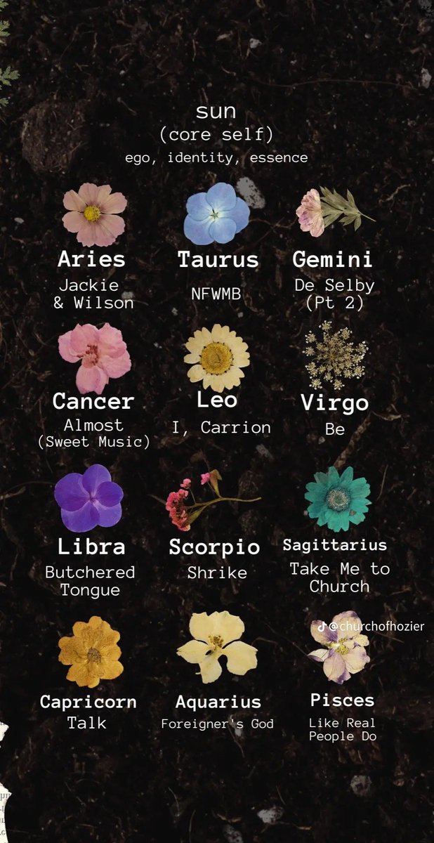 blizzy74_'s tweet photo. CUTEST FREAKING TIKTOK IVE SEEN (@ churchofhozier) 

mine are NFWMB, Would that I, De Selby (pt 1)

i am living for this bc they are some of my absolute favorites https://t.co/lMBBv9UEFf