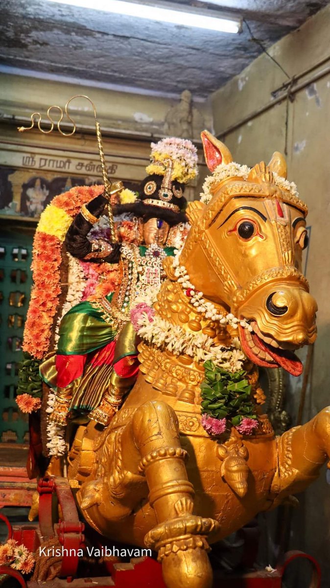 tamilbrahmins's tweet photo. Tiruchanur Sri Padhmavathy Thayat in Kuthirai Vahanam https://t.co/tuPLt2XwXO