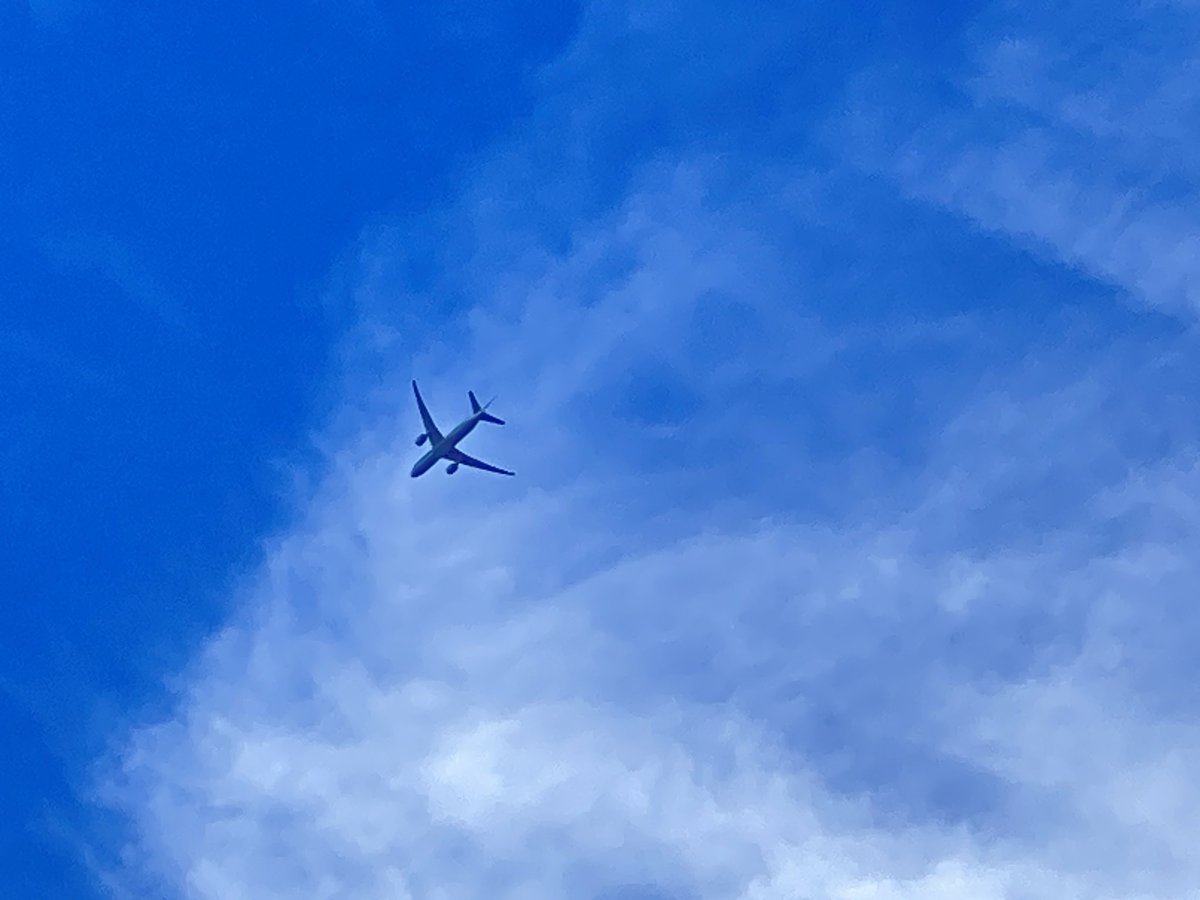 周り🐏が増えて来た、
1週間で10人くらい！😱
くれぐれも気を付けないと…

昨日回家的路上看到的大灰机，
可以很清楚地看到在转弯调头准备降落🛬️