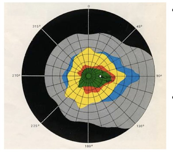 What the fuck

I was today years old when I learned that your peripheral vision doesn't perceive color 

Your color-sensing cones are bunched up to perceive the center of your vision