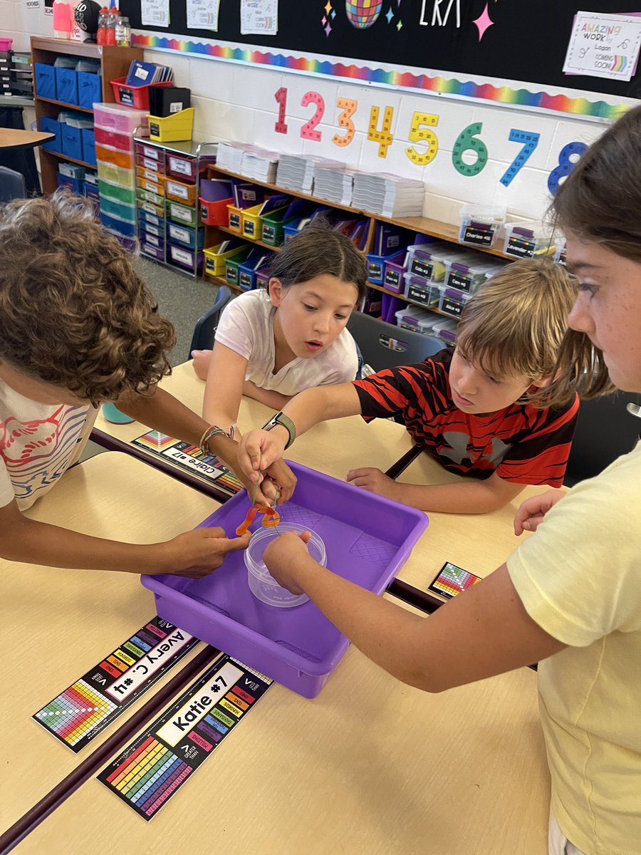 Mrs. Schaefer tweet media