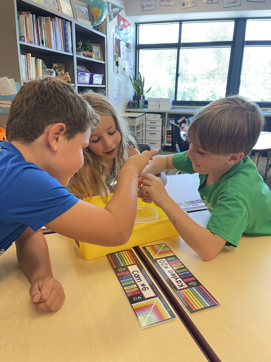 Mrs. Schaefer tweet media