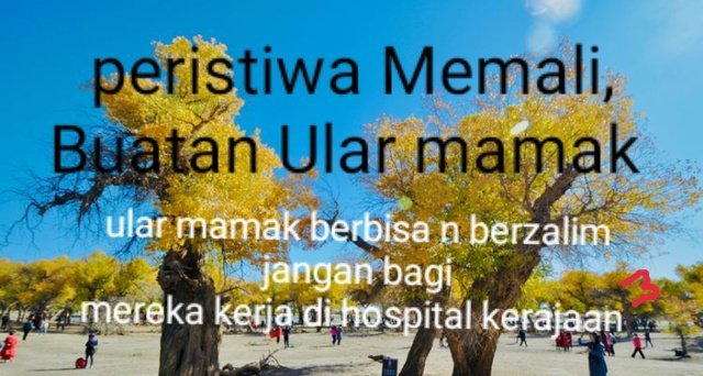 eddiechinn2's tweet photo. @NST_Online Siapa pakai polis bunuh orang malayu semasa peristiwa Baling https://t.co/RljURy4cbA