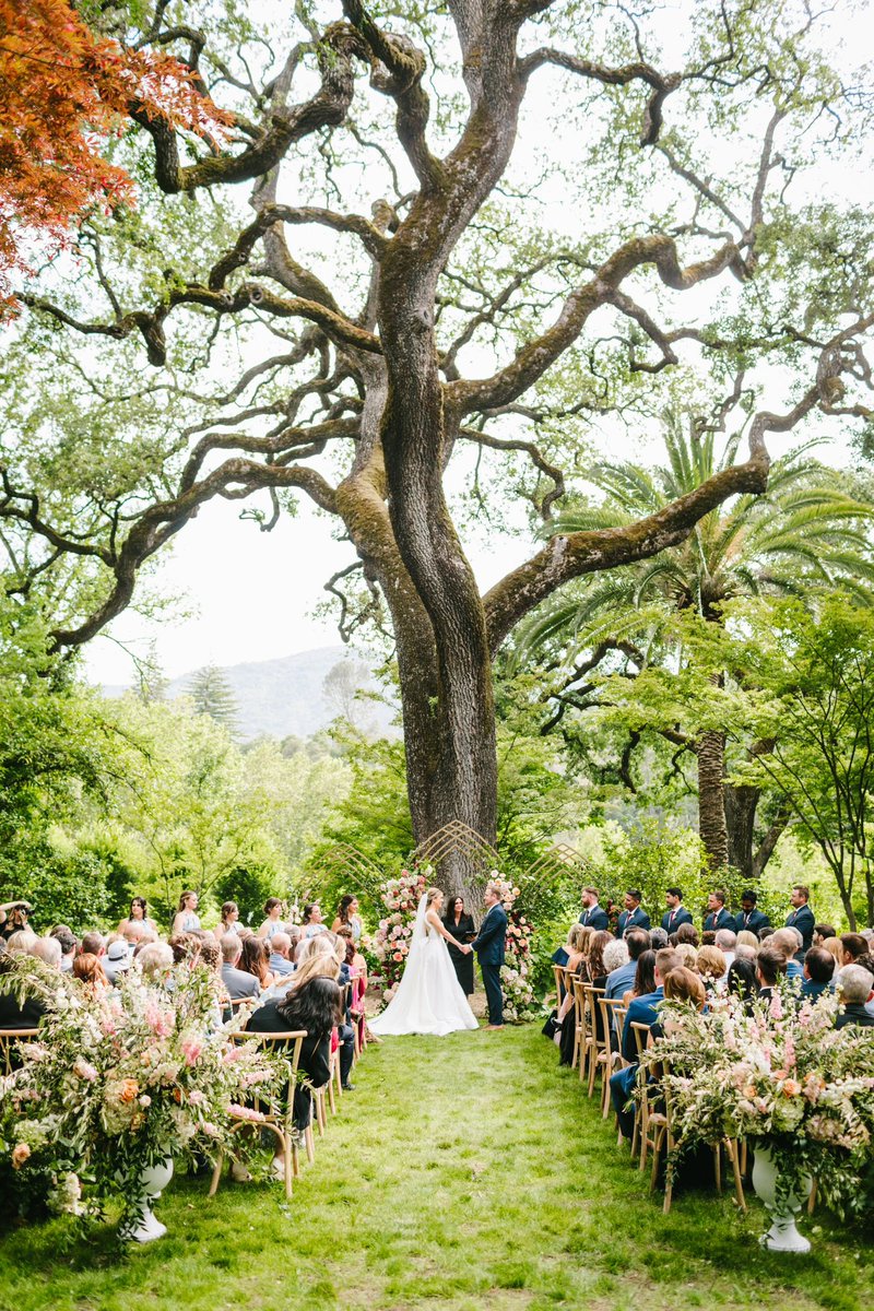 paula leduc tweet media