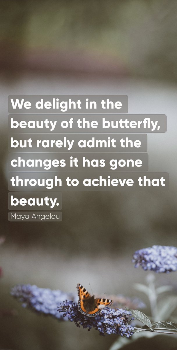 Michael Fowler tweet media