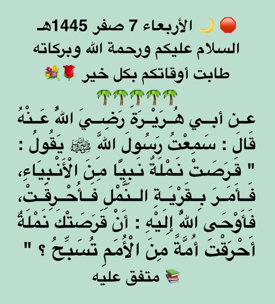 almrshd1166's tweet photo. https://t.co/aFXzJF9oI8