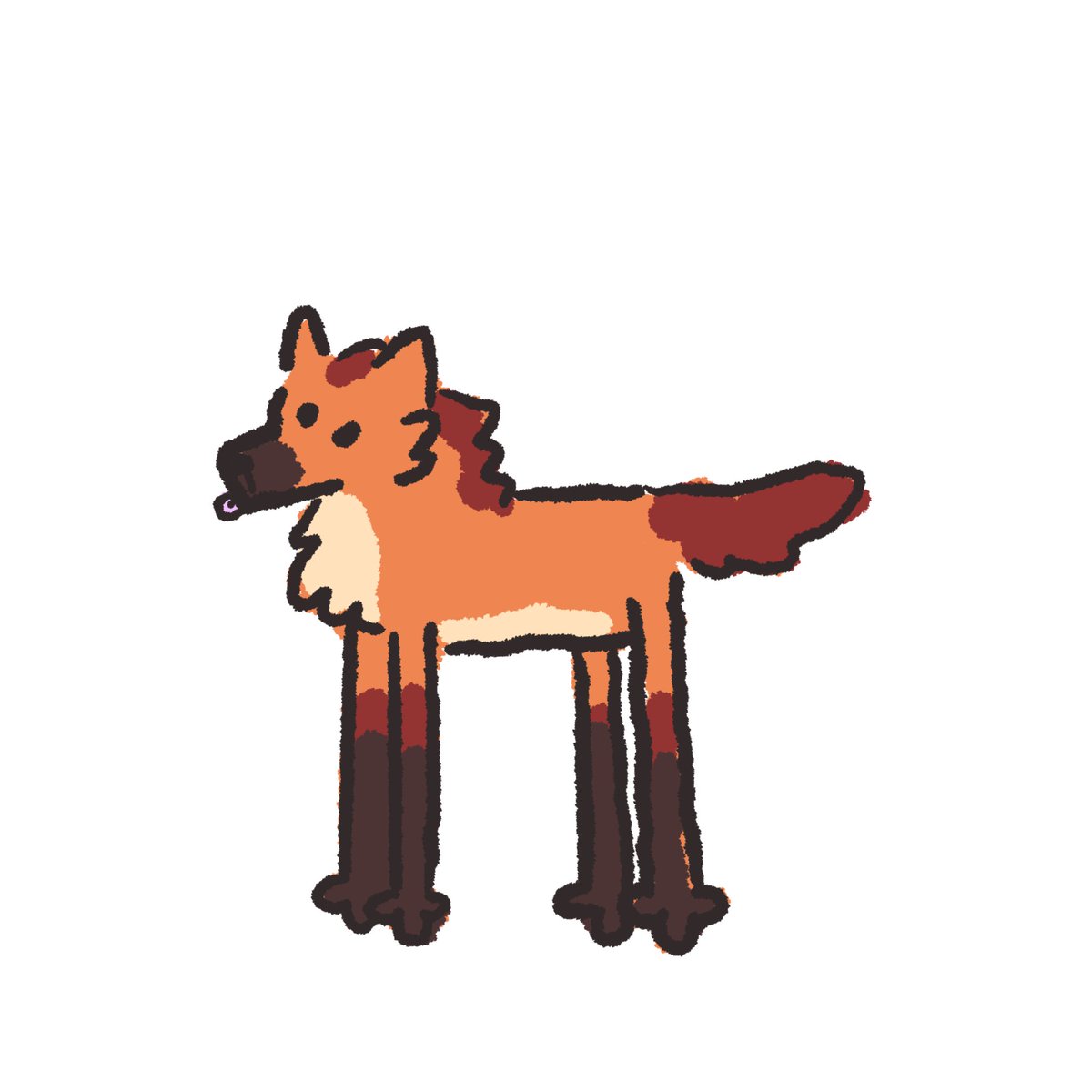 finchbites's tweet photo. Maned wolf https://t.co/5jjy7QtSo5