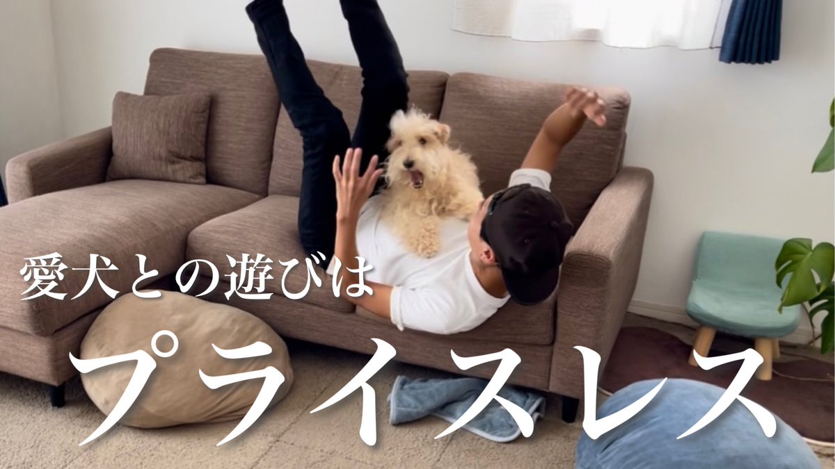 daichiwanwan's tweet photo. わんわんと思いっきり遊んだ🤣🐶🎶🎶🎶
⬇︎⬇︎動���はコチラ⬇︎⬇︎
https://t.co/Y0x9QJvNxh https://t.co/XoSetmbxfV