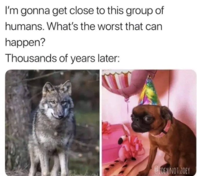 oop! https://t.co/m5NtM8qS35<a href="/tag/myxanniversary"class="tags"><span>#myxanniversary</span></a>