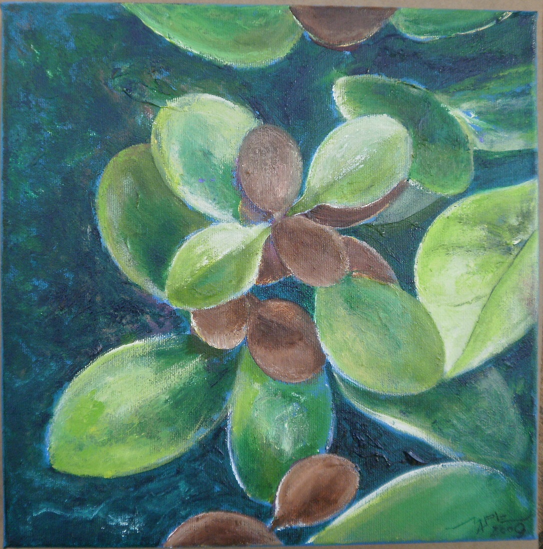 artplusnature10's tweet photo. If only we could reach the beauty and the perfection of nature...
I keep learning from it!
#MapleArt
#AcrylicsOnCanvas
#MapleDepicter https://t.co/iZR9S3vPCm