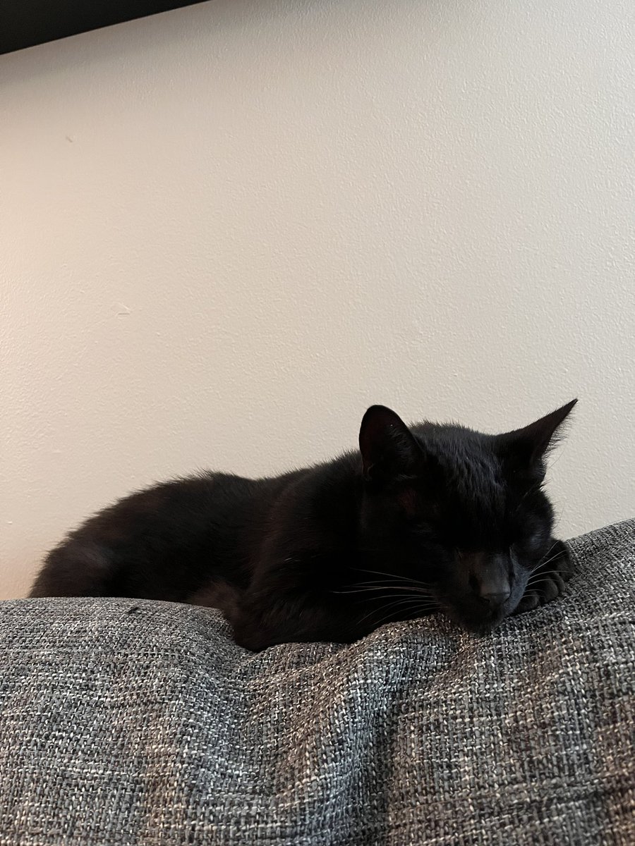 Ry ☀️ tweet media