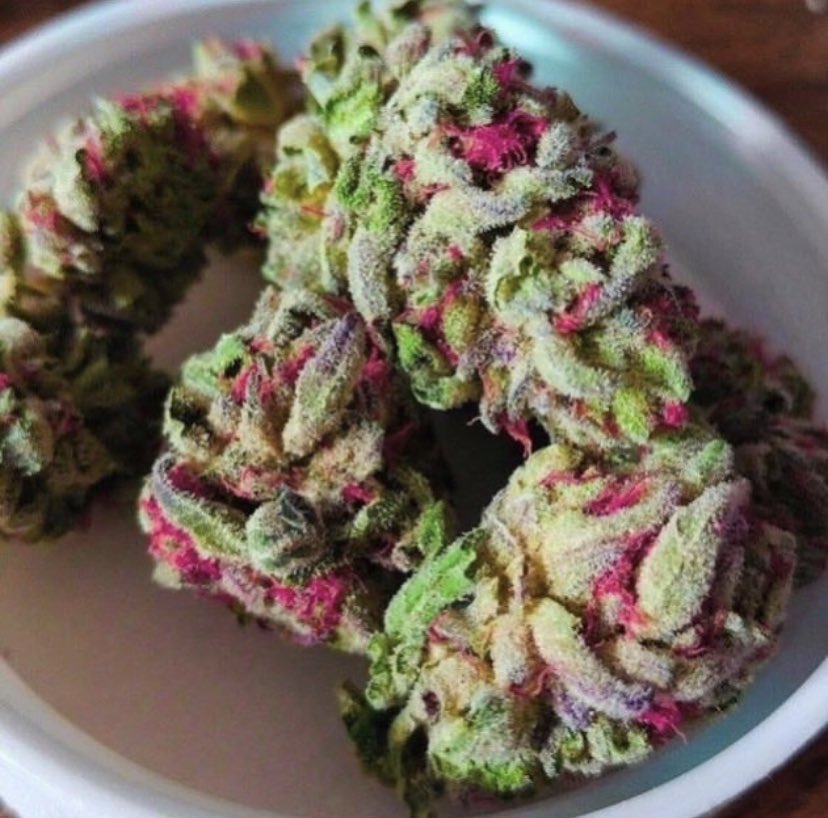 Fruit Loops 🍎🍌🍇

#StonerFam #Mmemberville #WeedLovers #CannabisCommunity