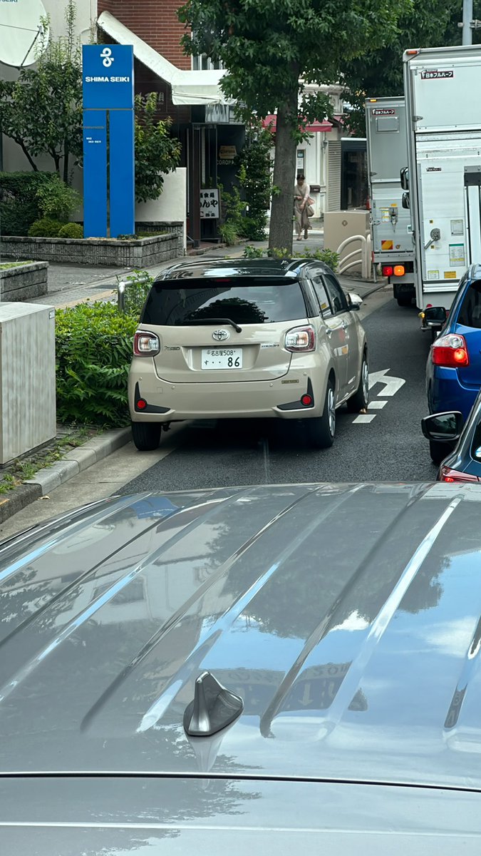 鳳凰めだか【旧まっぽん】 tweet media