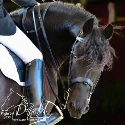 It’s time for The Celebration! Looking forward to being back in Shelbyville this weekend! 🐎