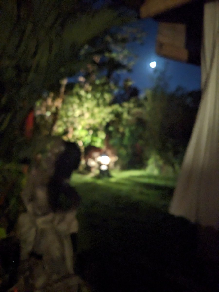 mainzebra's tweet image. &quot;As soon as the generals and the politicos can predict the motions of your mind, lose it&quot;
cales.arizona.edu/~steidl/Libera…