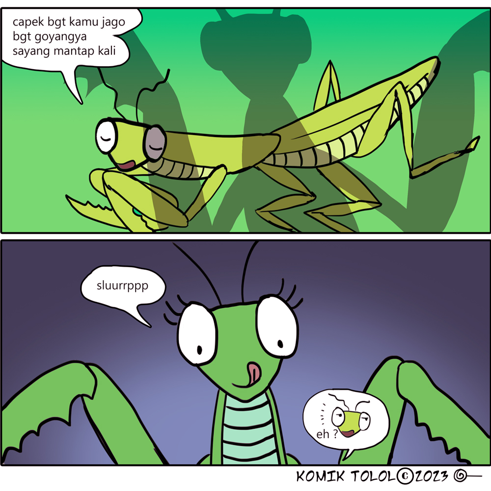 KotolOfficial's tweet photo. kisah cinta belalang sembah 

#kotolofficial #komikindonesia #komiklucu #komikindonesia #komiklokalindonesia #FYP https://t.co/qQlGjwsXs9