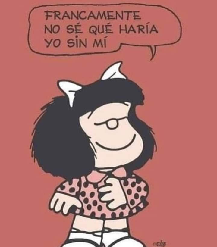 muraldegenero's tweet image. Francamente, no.
#LaNeta 🥰