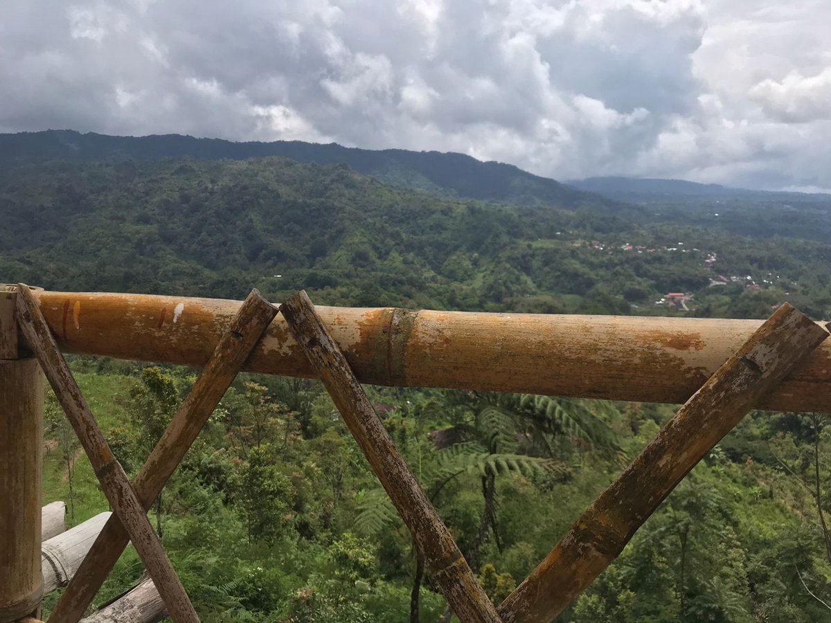 Greetings from West Sumatra tropical forest, Indonesia. Just a reminder, we're still open for submissions for #ISSUE3 until September 15, 2023. 

#WritingCommunity 
#Opensubs

📸 @damhurimuhammad