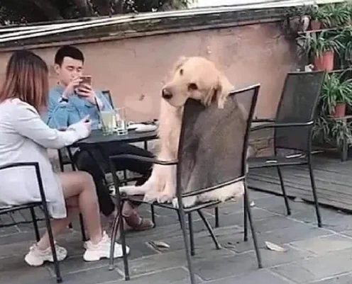 Cuando estoy fuera de casa y se me acaban las ganas de socializar