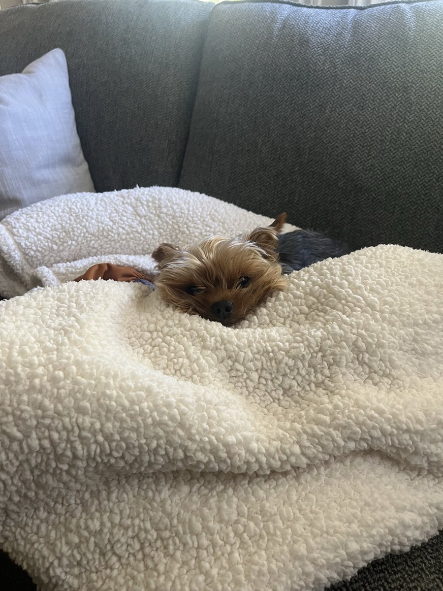 JackTheCEO tweet media